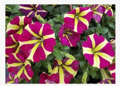 User post image