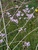 User post image