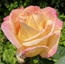 User post image