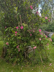 User post image