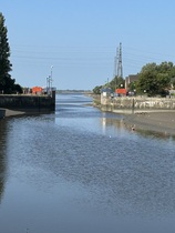 User post image