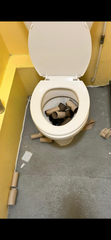 User post image