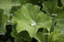 User post image
