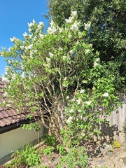 User post image