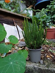 User post image